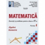 Matematica - exercitii si probleme pentru clasa a VI-a, partea I