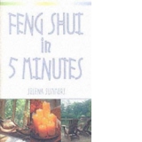 feng shui in five minutes