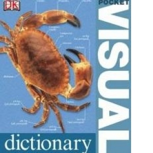 pocket visual dictionary