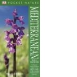 Pocket Nature: Mediterranean Wildflowers