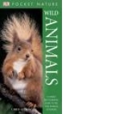 Pocket Nature: Wild Animals