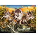 PUZZLES HQ 500 PIESE - Wolves