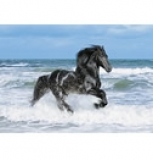 PUZZLES HQ 500 PIESE - Black Horse (18+)