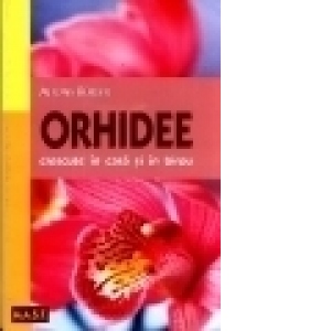 Orhidee crescute in locuinta si birou