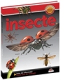 Insecte - Prima mea enciclopedie